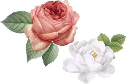 卧室乙烯基地毯白色与粉色玫瑰 - TenStickers