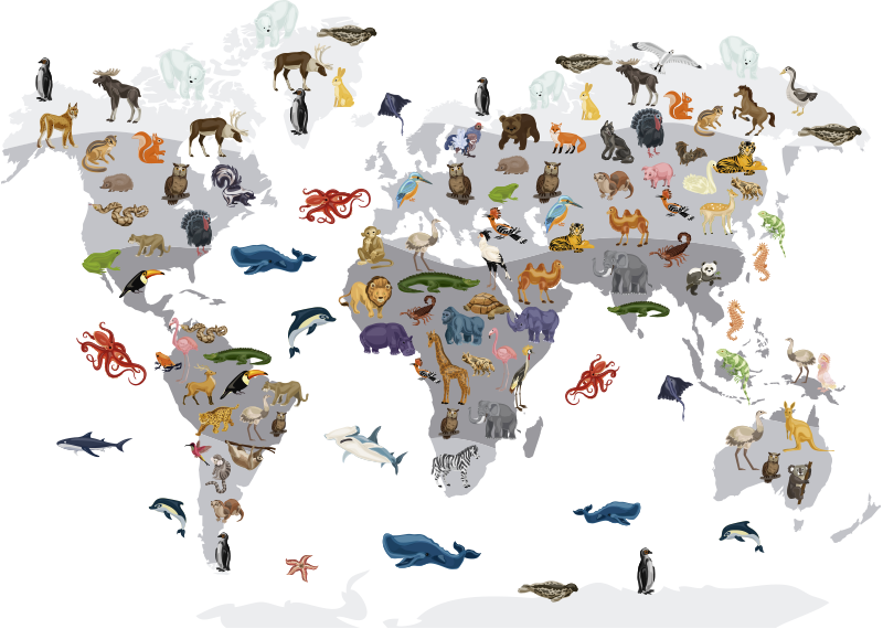 乙烯基地毯与北欧风格世界地图墙贴 - TenStickers