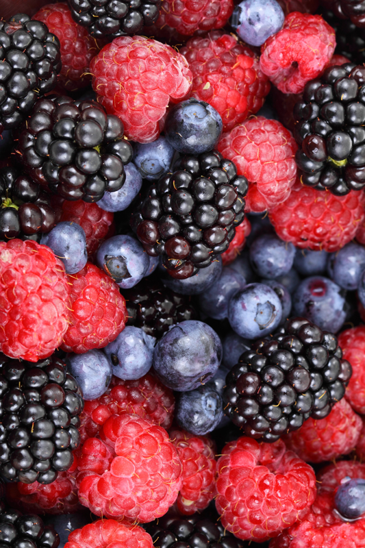 乙烯基厨房地毯蓝莓款 - TenStickers