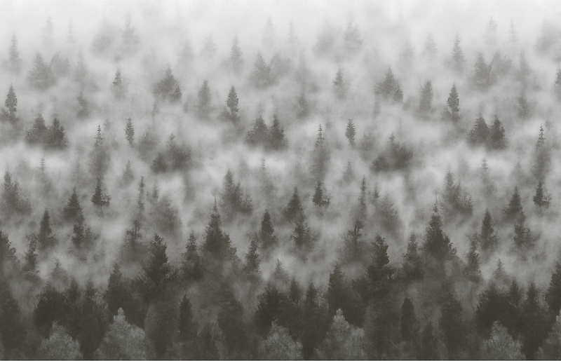 卧室乙烯基地毯 3d雾霭神秘山脉 - TenStickers