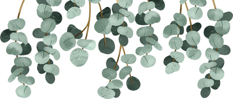 卧室乙烯基地毯与悬挂植物相得益彰 - TenStickers