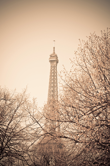 卧室乙烯基地毯 巴黎埃菲尔铁塔树木图案 - TenStickers