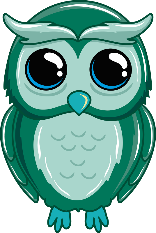 乙烯基地毯 儿童 卡通猫头鹰插图 - TenStickers