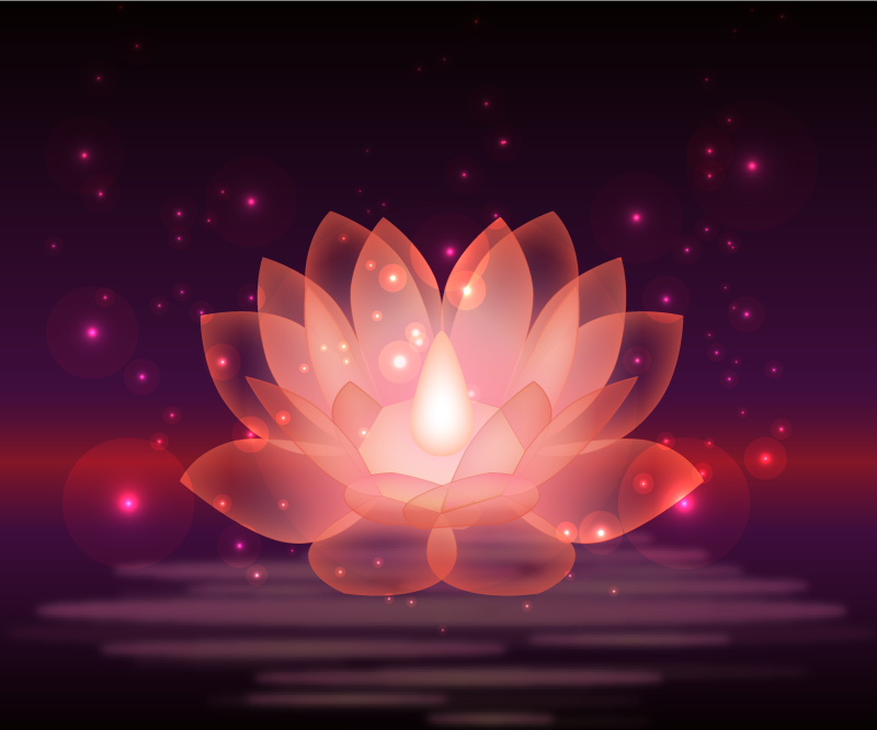 乙烯基地毯 宇宙莲花设计 - TenStickers