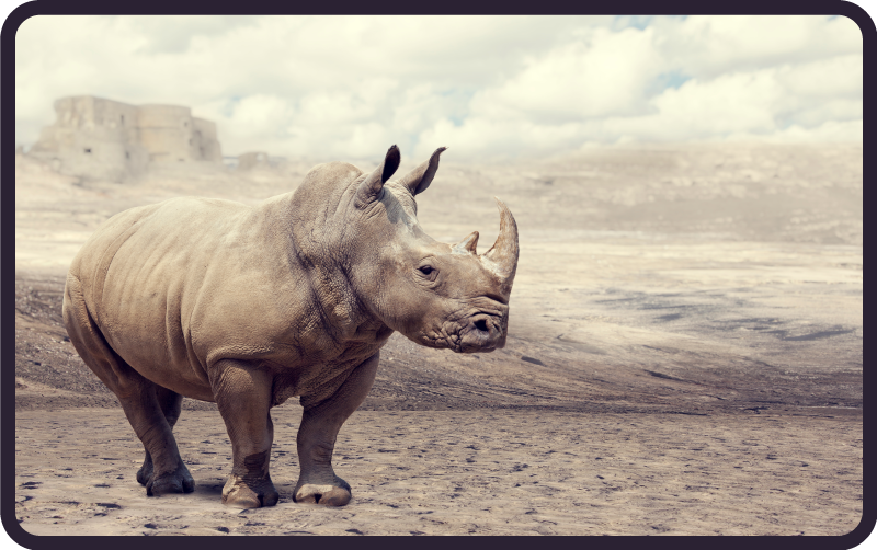 乙烯基地毯动物展现雄伟犀牛场景 - TenStickers