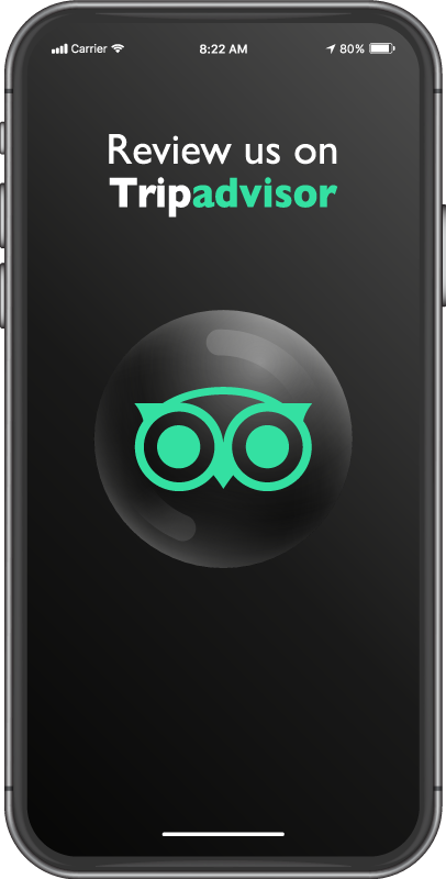 乙烯基地毯出售，请在tripadvisor上评价我们 - TenStickers