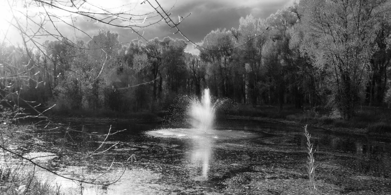 乙烯基地毯特性宁静瀑布景观 - TenStickers