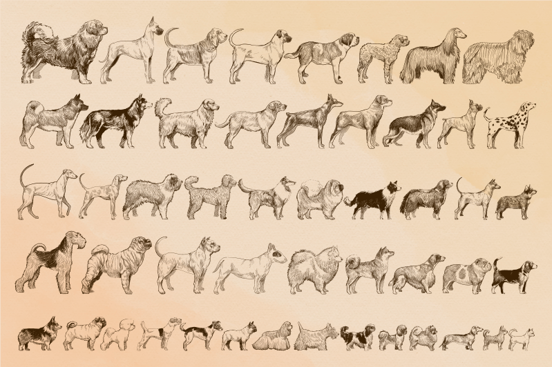 乙烯基地毯动物米色狗插图 - TenStickers