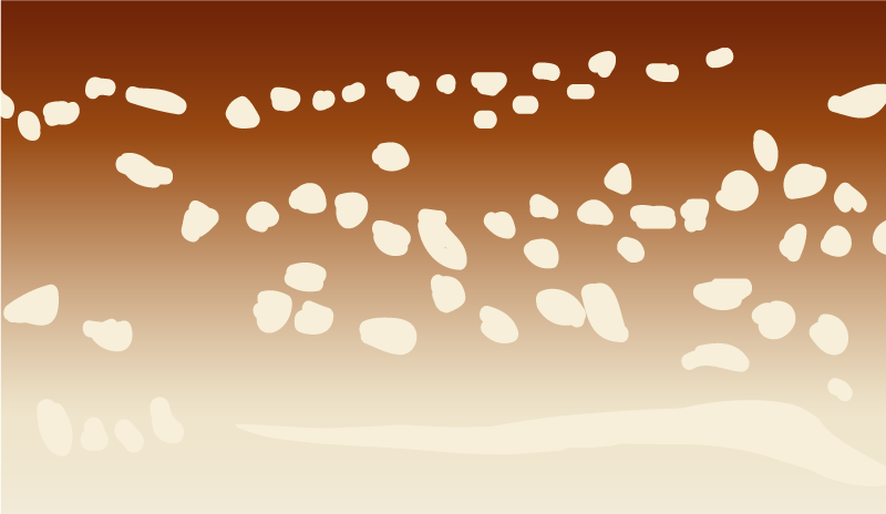 乙烯基地毯 石头效果 棕色人行道 - TenStickers