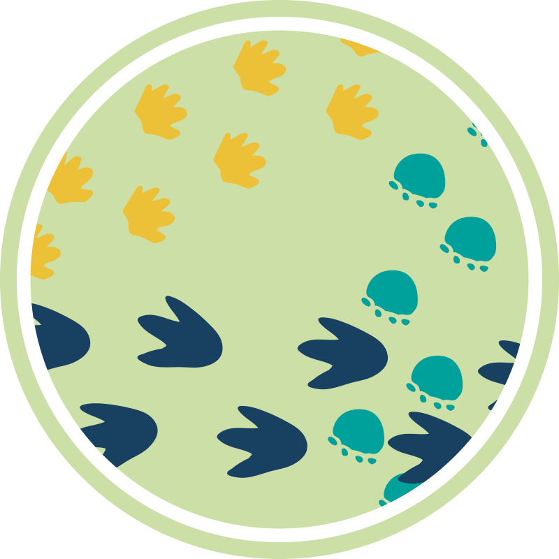 恐龙脚印婴儿游戏垫 - TenStickers