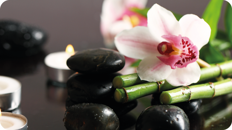 乙烯基地毯特性与兰花宁静相结合 - TenStickers