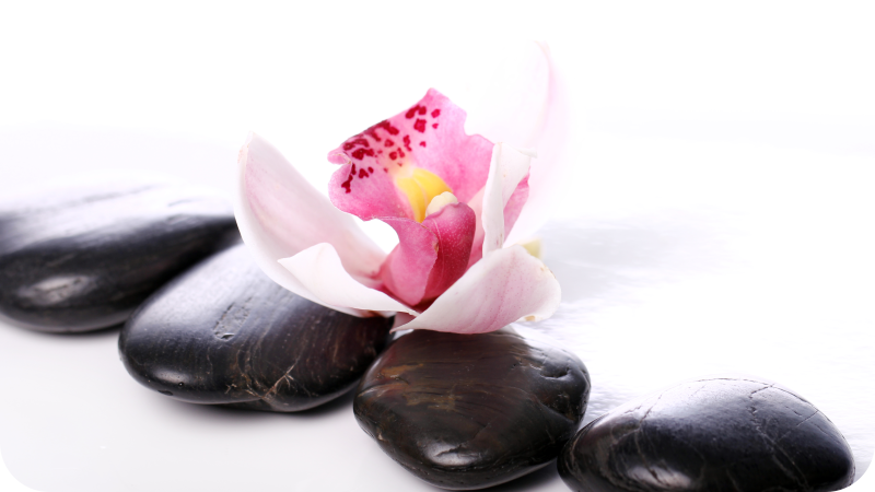 乙烯基地毯特性优雅花卉宁静 - TenStickers