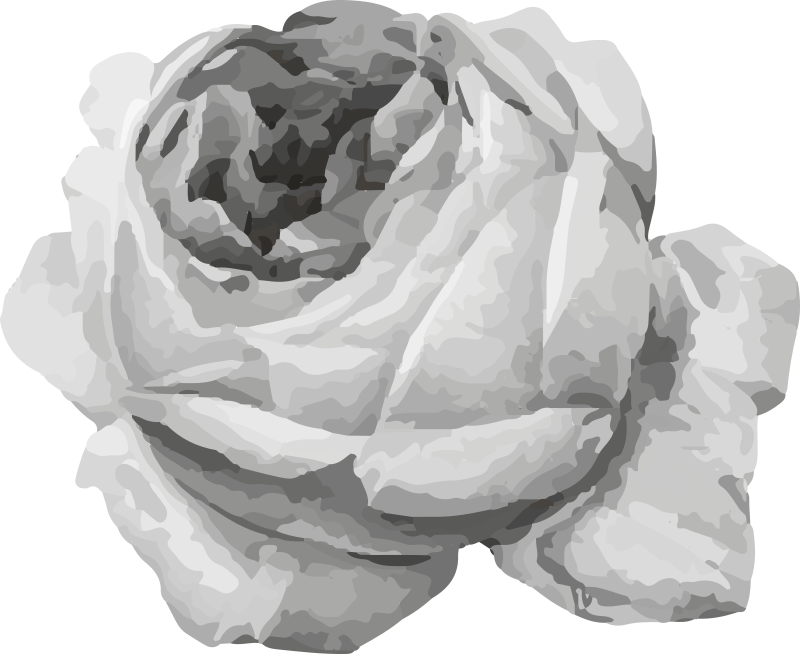 乙烯基花草地毯玫瑰绽放 - TenStickers