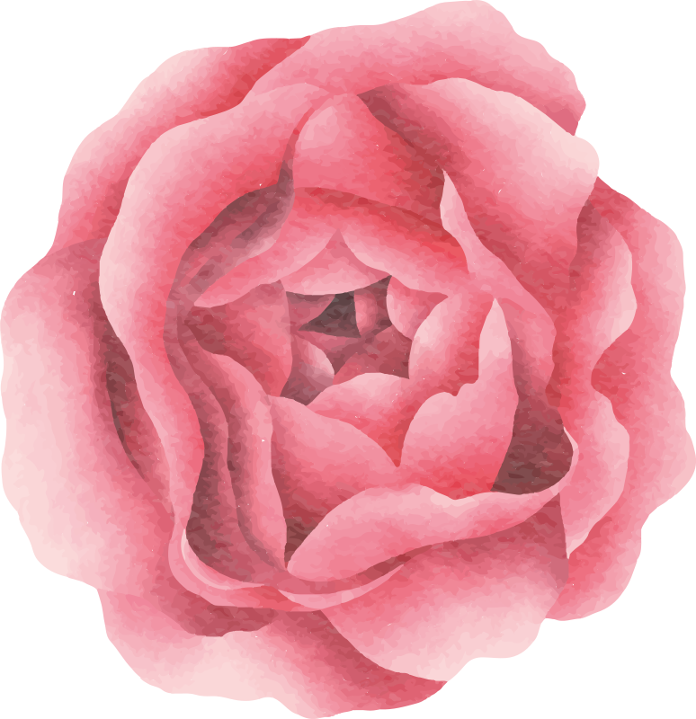 乙烯基花草地毯粉色绽放 - TenStickers