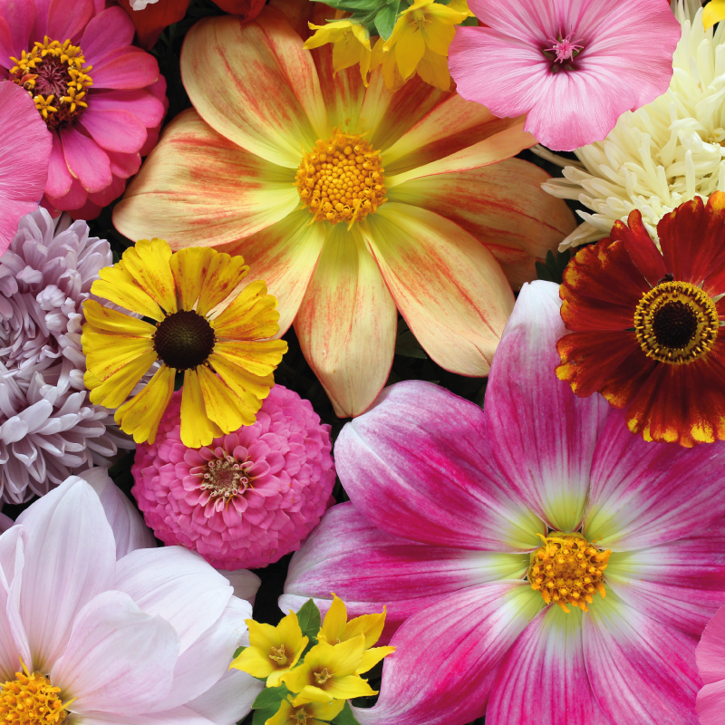 乙烯基花草地毯美丽逼真的排列 - TenStickers