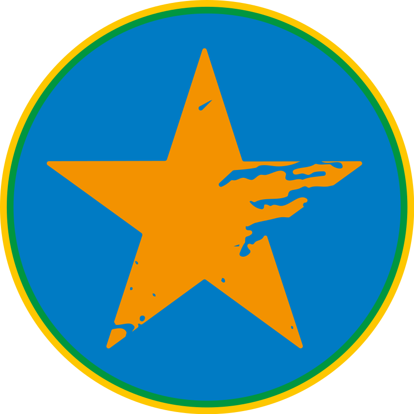 乙烯基地毯蓝星装饰款 - TenStickers