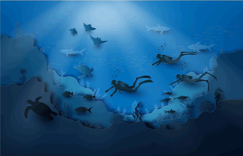 乙烯基地毯特性适用于水下探测 - TenStickers