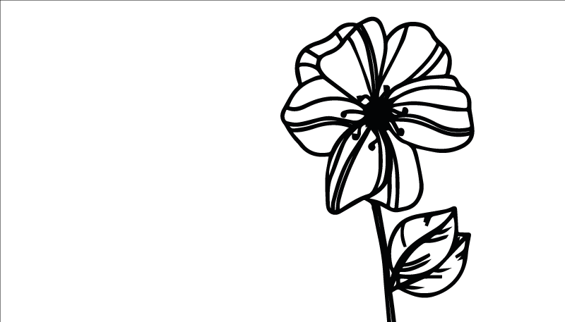 乙烯基花草地毯优雅黑白设计 - TenStickers