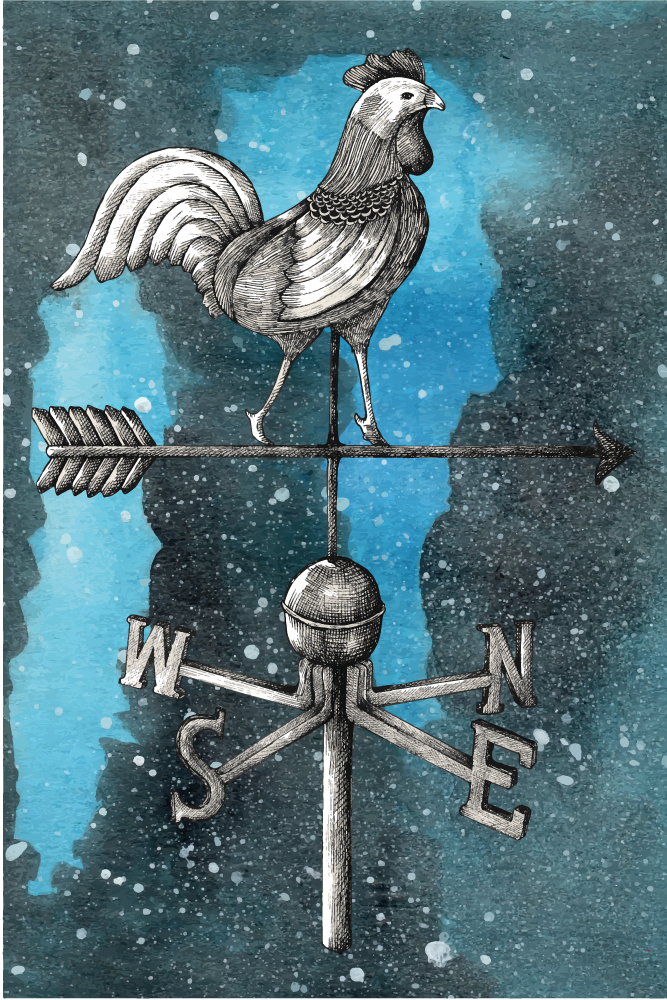 乙烯基地毯天气风向鸡 - TenStickers