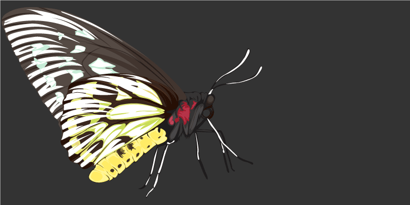 乙烯基地毯特性与蝴蝶图案相结合 - TenStickers