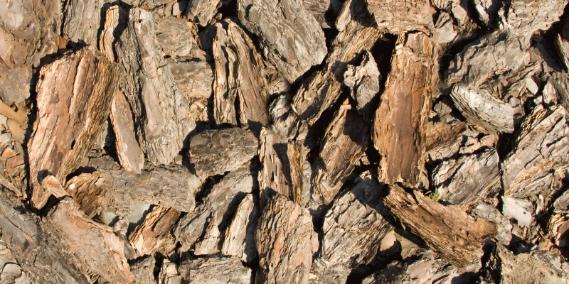 乙烯基地毯木纹自然树皮设计 - TenStickers