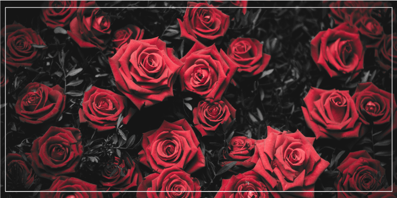 乙烯基花草地毯真实红玫瑰设计 - TenStickers