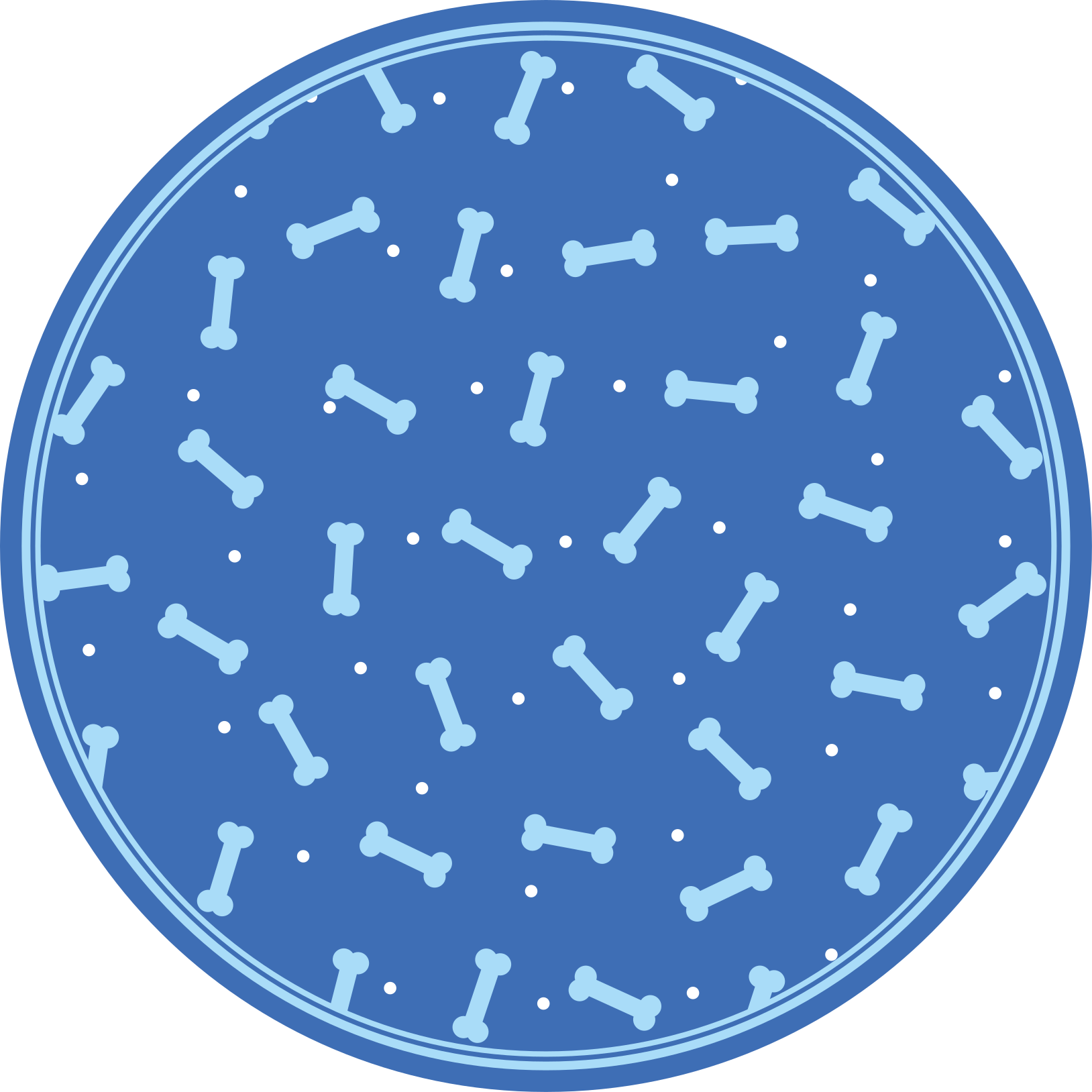 圆形乙烯基地毯骨头图案游戏 - TenStickers