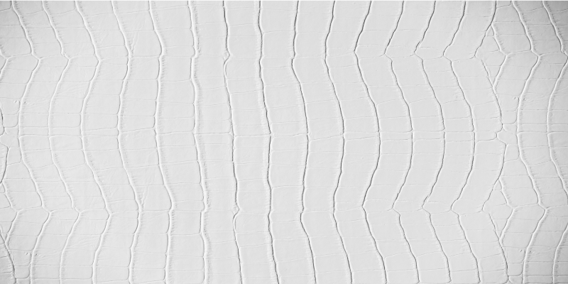 乙烯基地毯动物印花 优雅的鳄鱼 - TenStickers