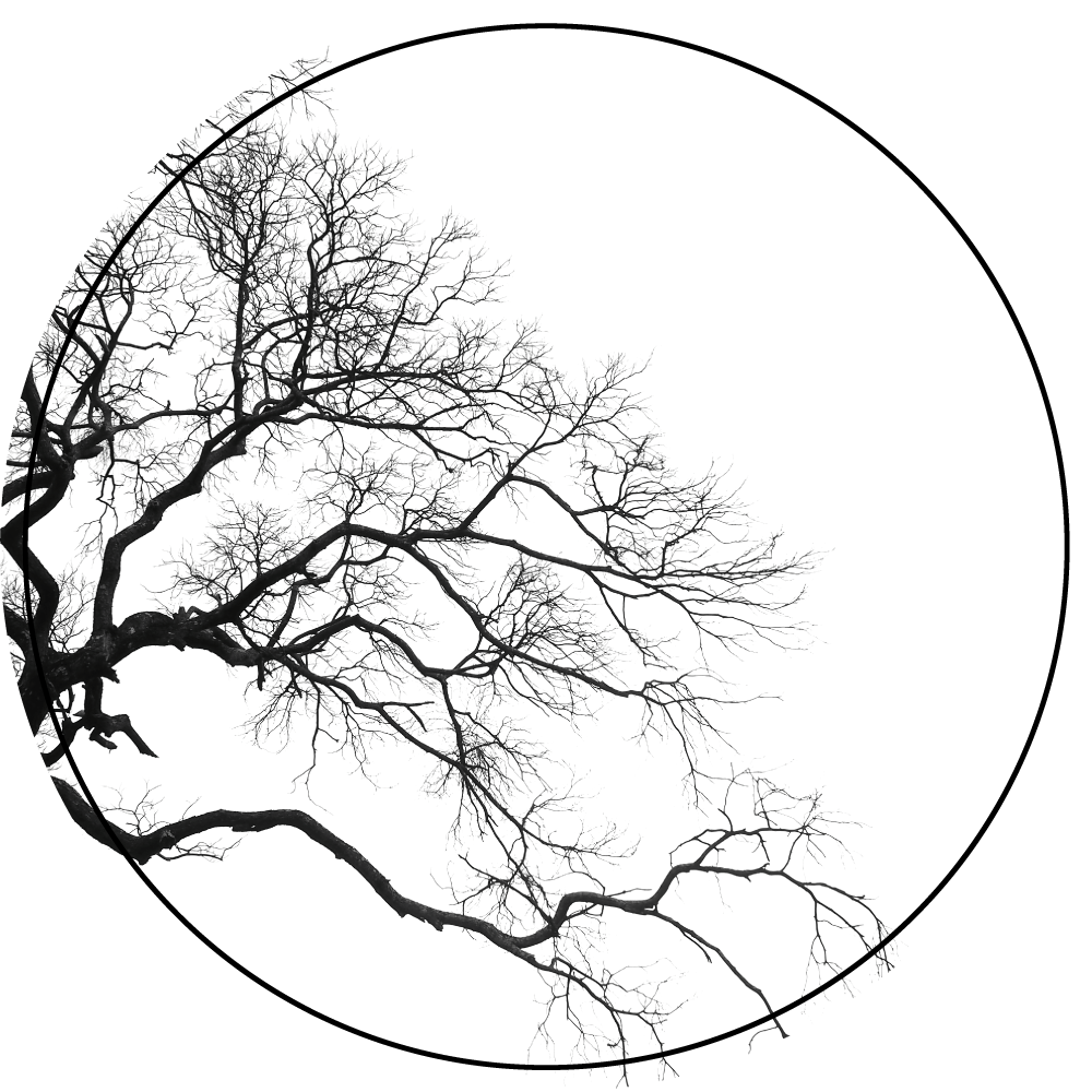 乙烯基地毯特性与树枝剪影艺术 - TenStickers