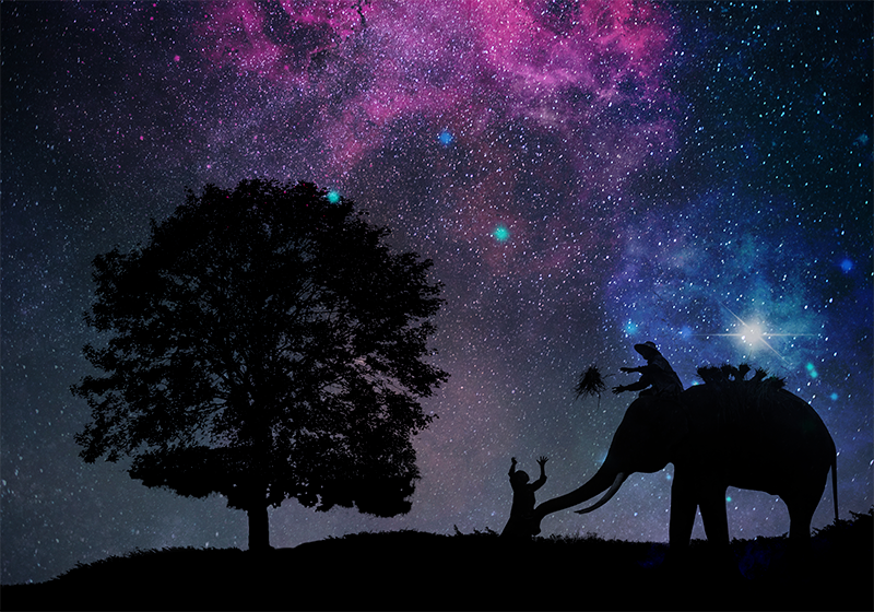 乙烯基地毯动物宇宙大象冒险 - TenStickers