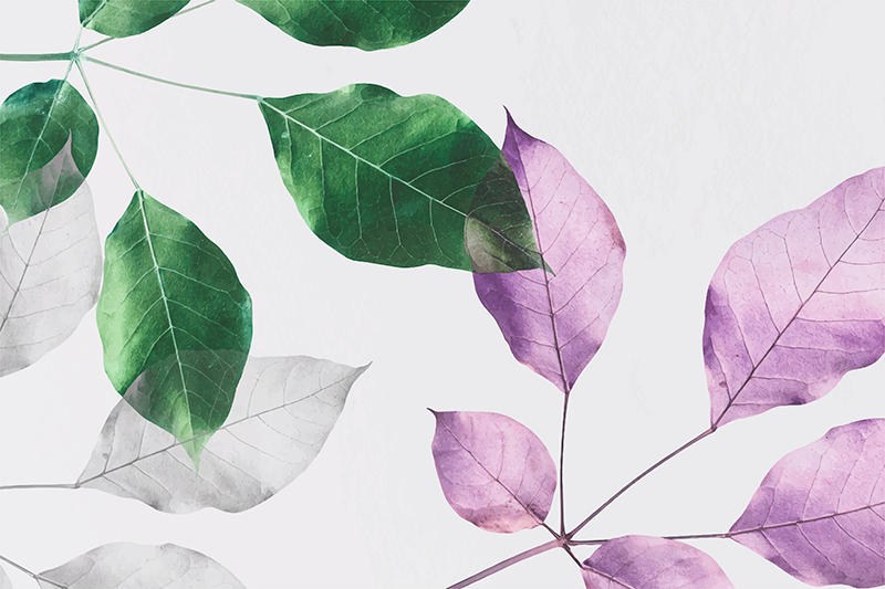 乙烯基花草地毯绿叶植物印花 - TenStickers