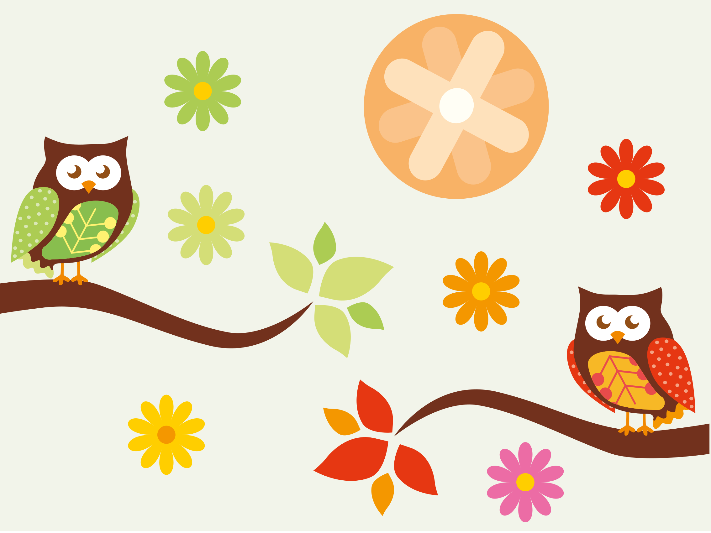 乙烯基地毯彩色婴儿房猫头鹰 - TenStickers