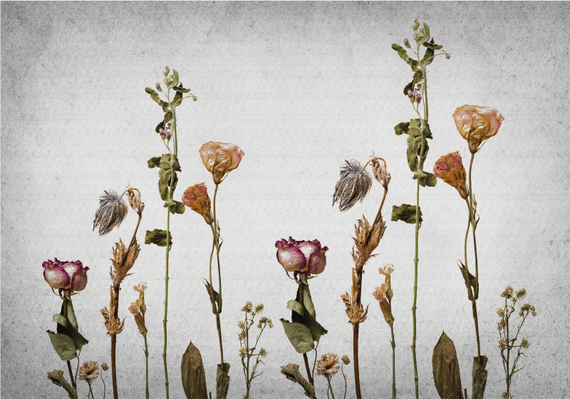 乙烯基花草地毯 植物意象 - TenStickers