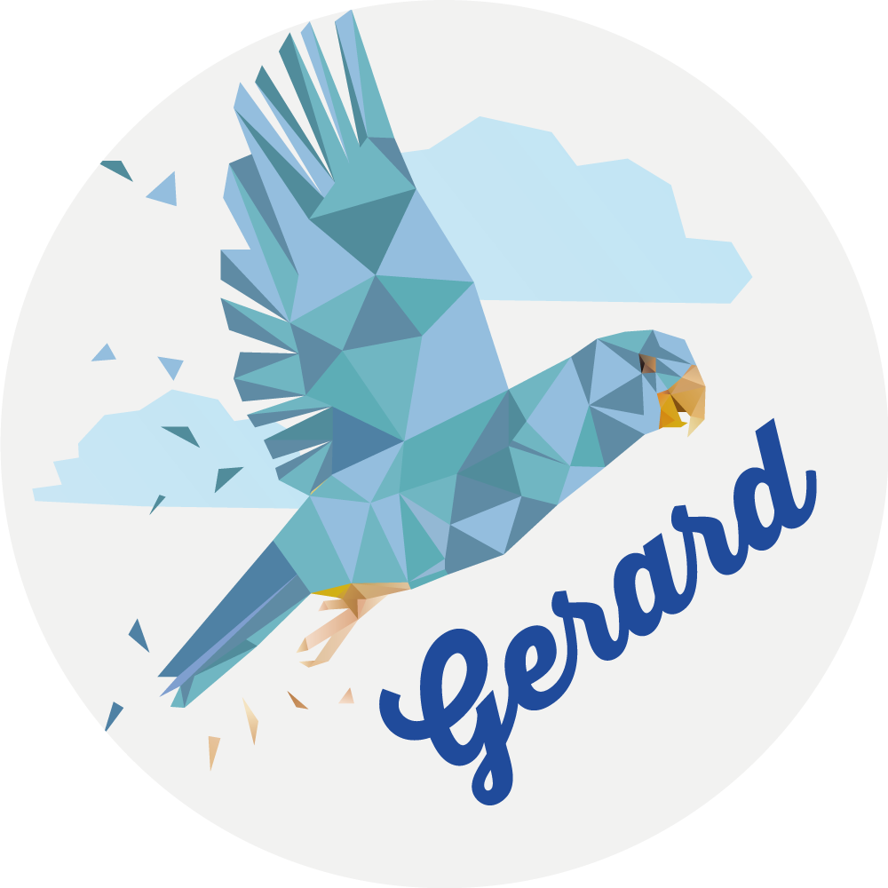 乙烯基地毯名称 定制几何鹰 - TenStickers