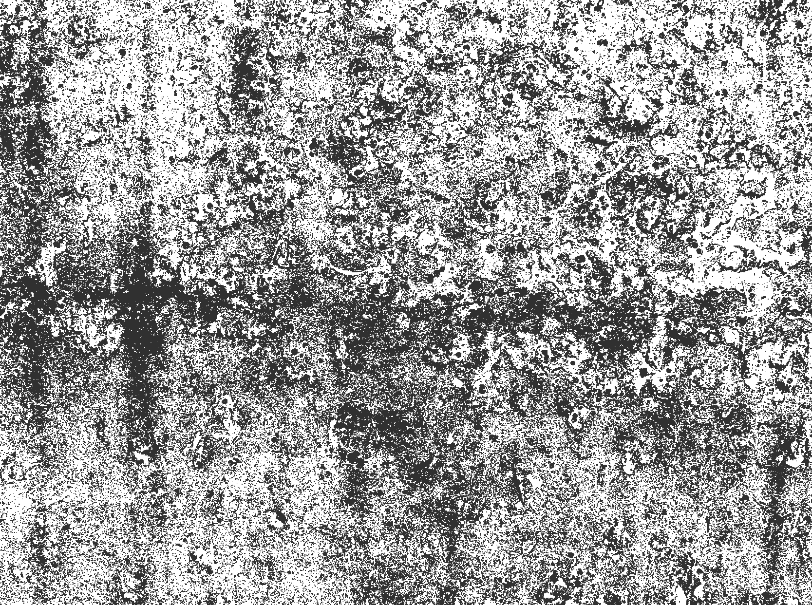 乙烯基地毯饭厅 褪色的灰色 - TenStickers