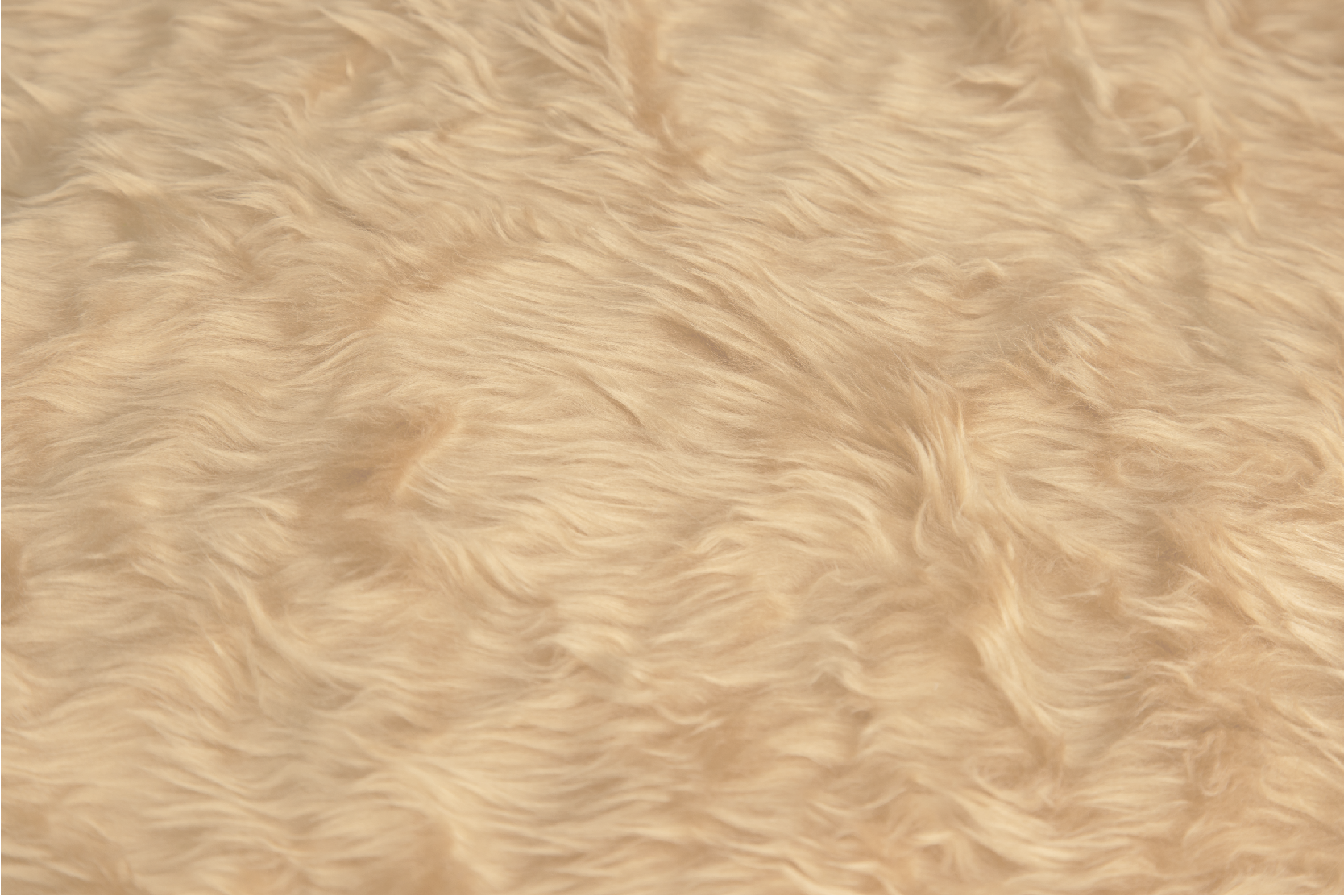 乙烯基地毯饭厅 羊毛效果设计 - TenStickers