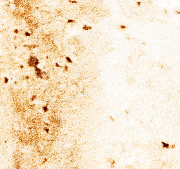 墙纸 大理石 自然石材美学 - TenStickers