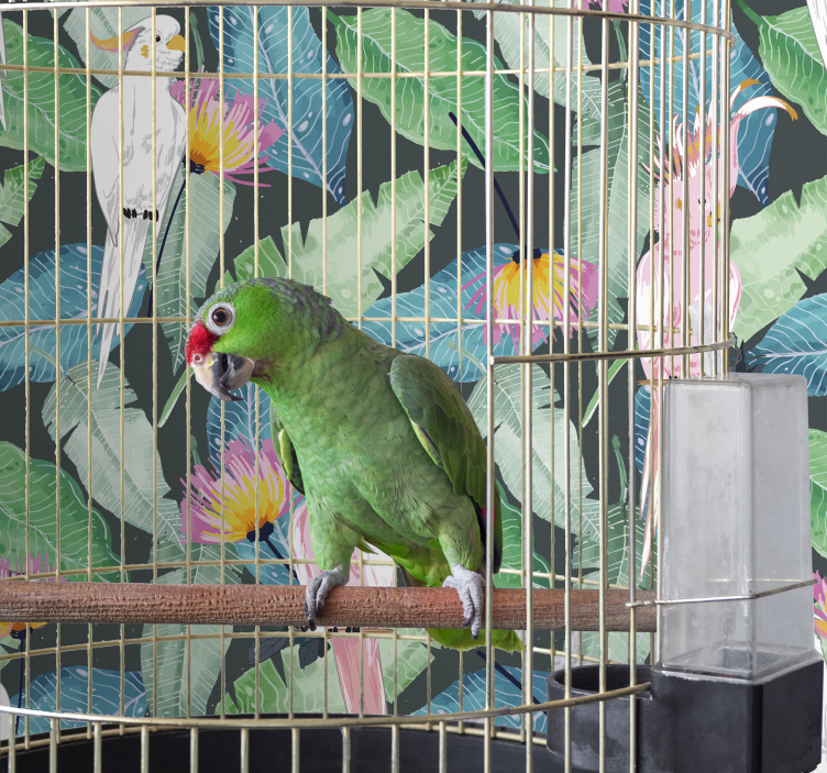 墙纸 鸟类 热带鸟类和叶子 - TenStickers