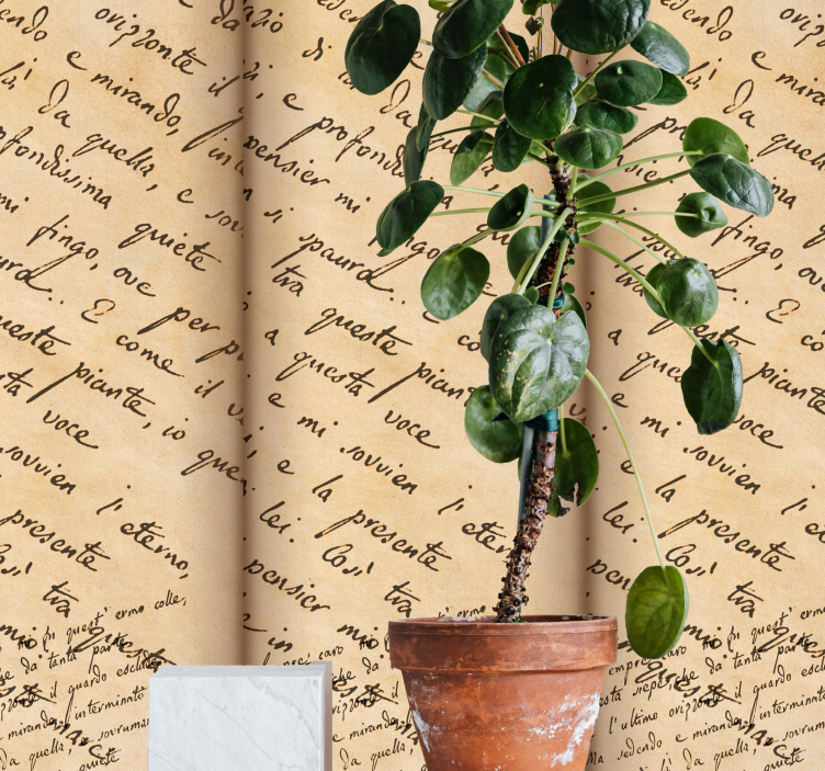 墙纸 刻字 草书题材 - TenStickers